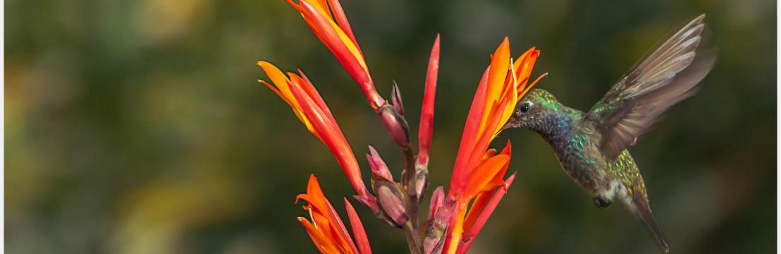 Jos&eacute; Roberto Soares Soares