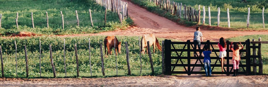 Socorro  Bezerra Fotografia