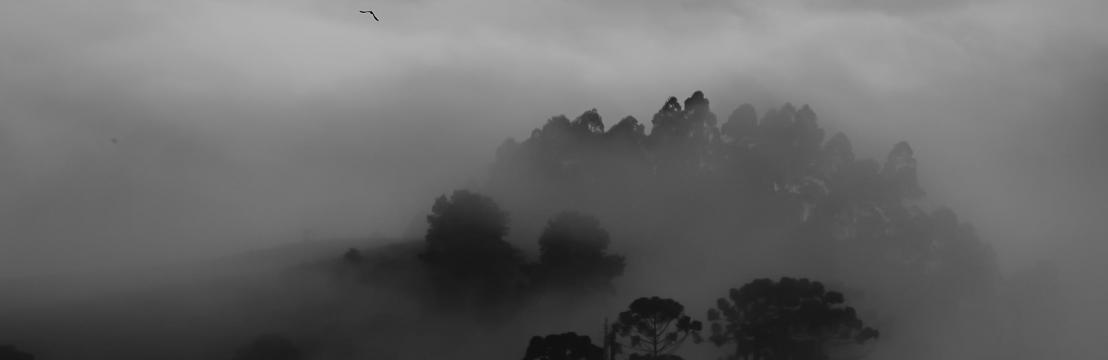 Cl&aacute;udio Sim&otilde;es Dias