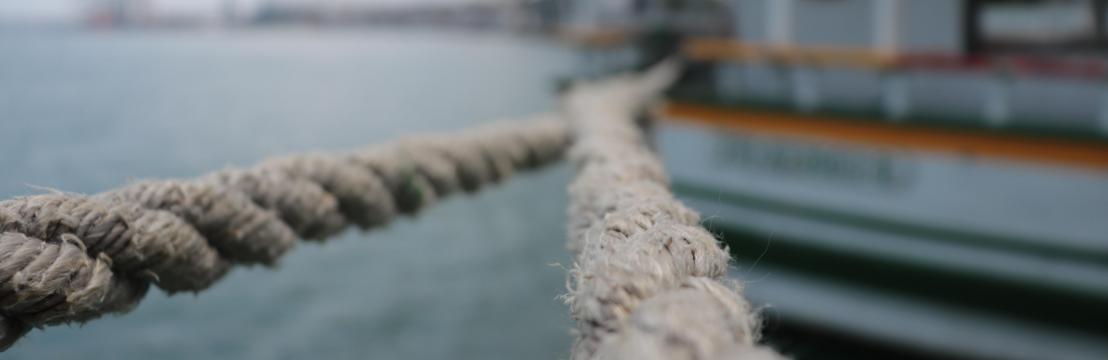 Filipe Jesus De Oliveira