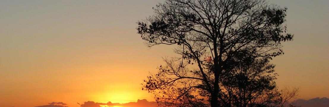 Tarc&iacute;sio De Angeles