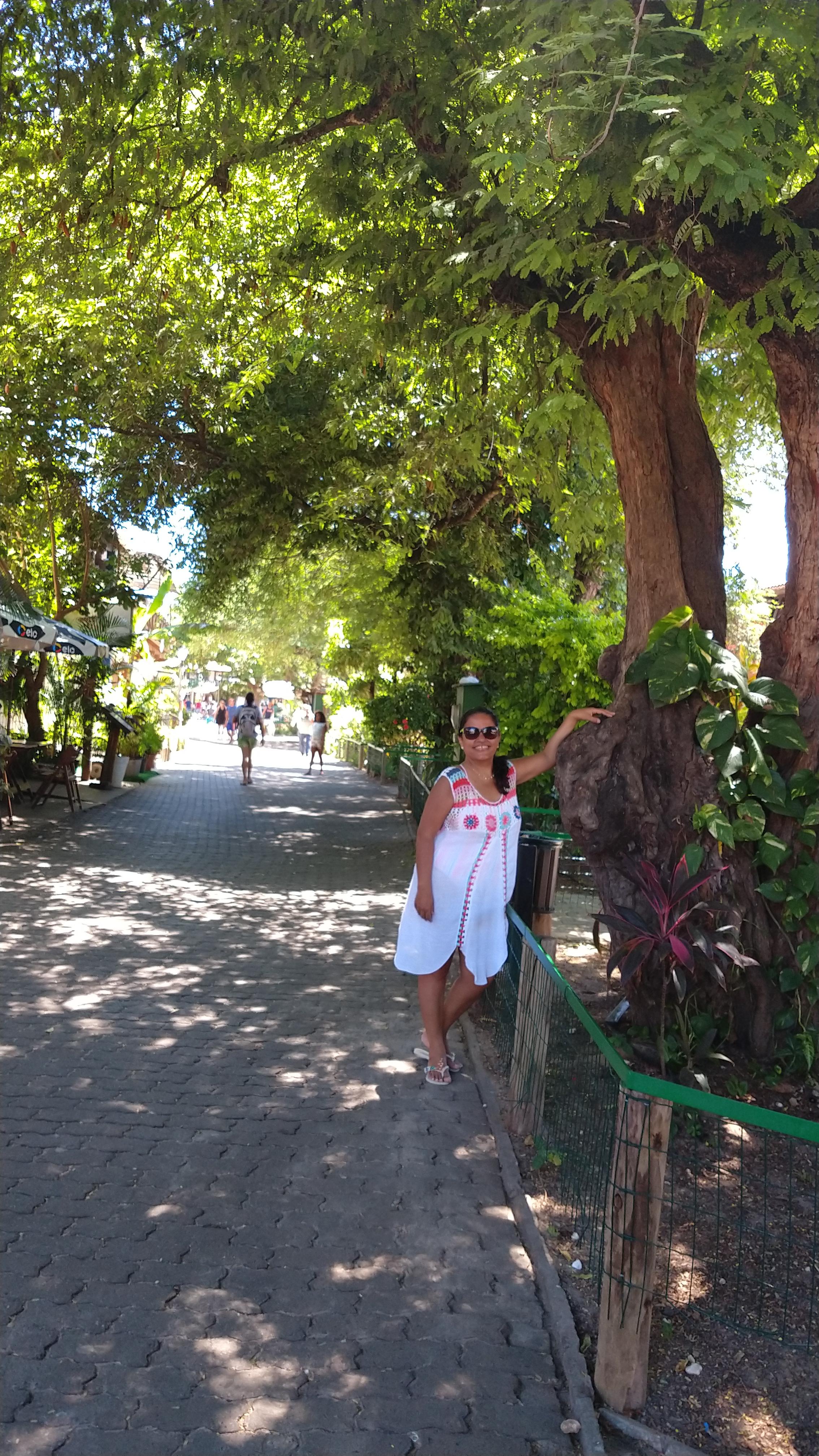 Ana Maria Vasconcelos Ara&uacute;jo