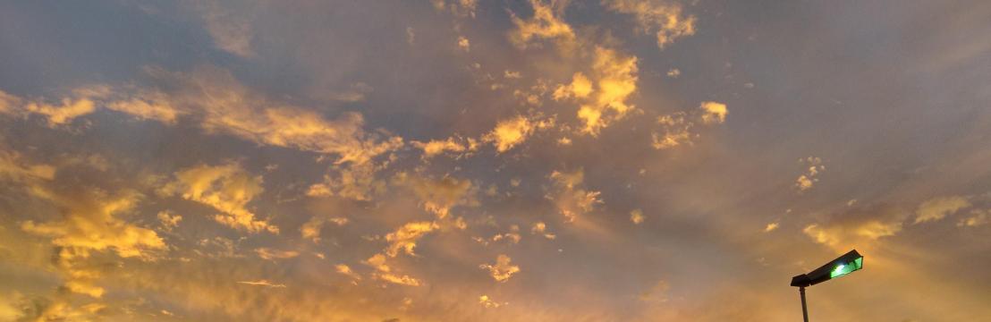 LUIZ ALFREDO DE MATTOS