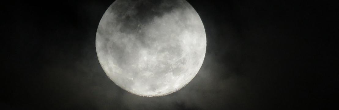 Patr&iacute;cia De Azevedo