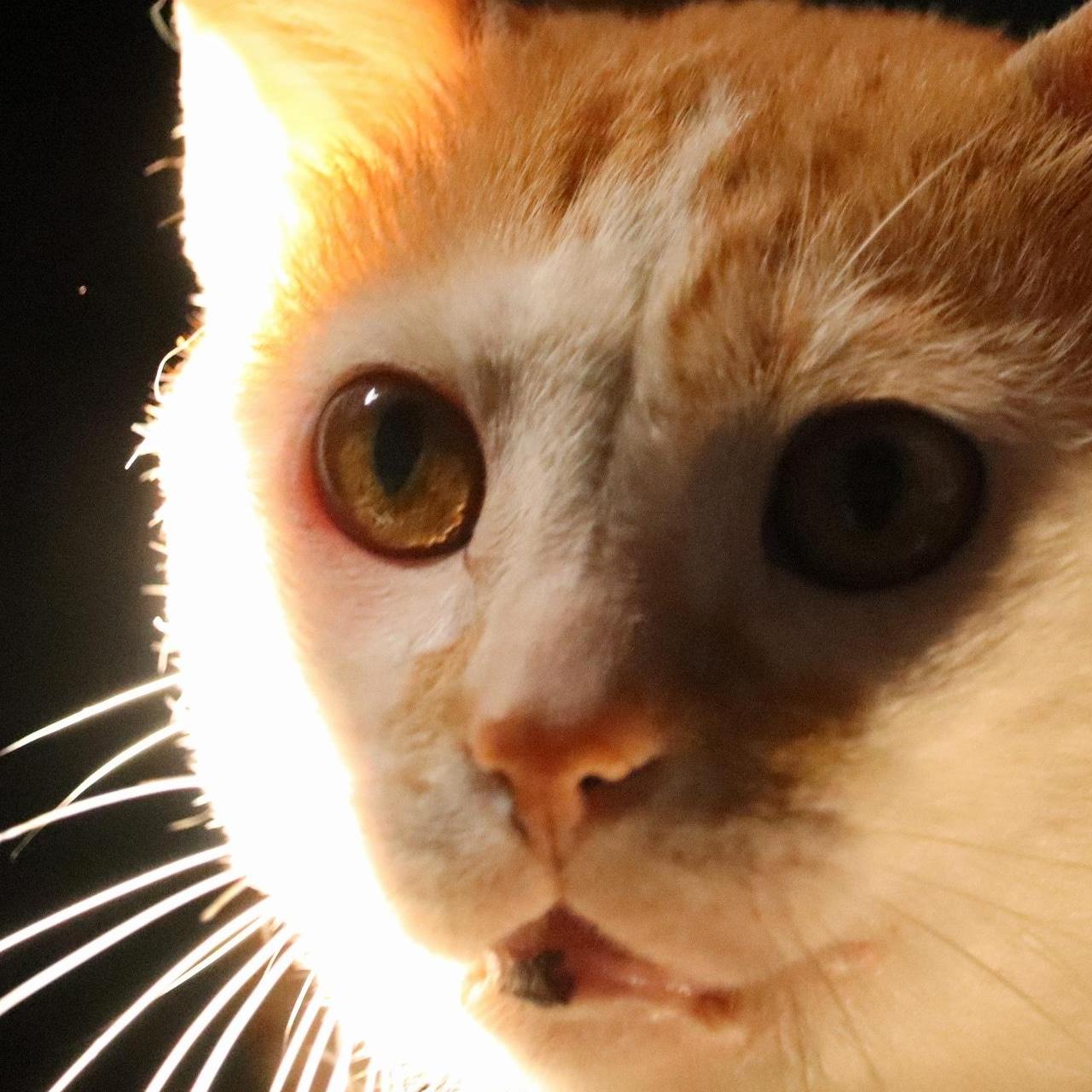 Fabr&iacute;cio  Cambiaghi 